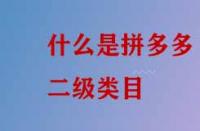 什么是拼多多二級類目？