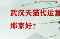 武漢天貓代運營那家好？
