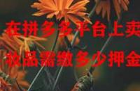 在拼多多平臺(tái)上賣化妝品需繳多少押金？