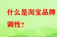 什么是淘寶品牌調性？