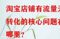 淘寶店鋪有流量無轉(zhuǎn)化的核心問題在哪里？