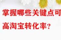 掌握哪些關鍵點可提高淘寶轉化率？