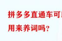 拼多多直通車可以用來養(yǎng)詞嗎？