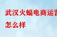 武漢火蝠電商運(yùn)營怎么樣