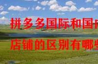 拼多多國(guó)際和國(guó)內(nèi)店鋪的區(qū)別有哪些？