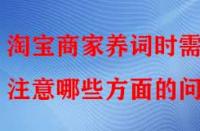 淘寶商家養詞時需注意哪些方面的問題？