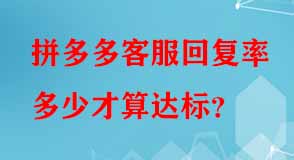 拼多多代運(yùn)營(yíng)